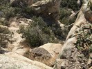 photo thumbnail #13