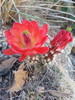 photo thumbnail #4