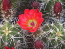 photo thumbnail #4