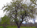 photo thumbnail #5