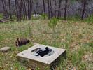 photo thumbnail #9