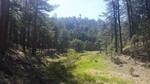 photo thumbnail #12