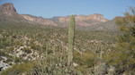 photo thumbnail #8