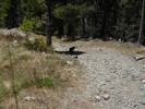 photo thumbnail #10
