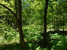 photo thumbnail #14