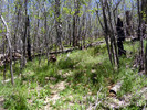 photo thumbnail #3