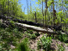 photo thumbnail #4
