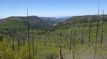 photo thumbnail #6