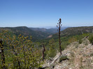 photo thumbnail #12