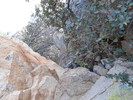 photo thumbnail #13