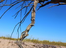 photo thumbnail #1