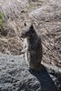 photo thumbnail #13