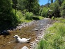 photo thumbnail #1