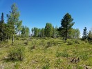 photo thumbnail #2