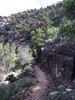 photo thumbnail #2