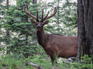 photo thumbnail #9