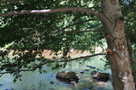 photo thumbnail #11