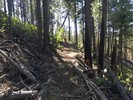 photo thumbnail #2