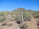 photo thumbnail #6