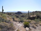 photo thumbnail #9