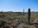 photo thumbnail #10