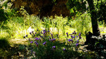 photo thumbnail #15