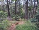 photo thumbnail #8