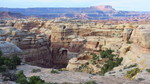 photo thumbnail #11