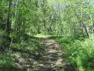 photo thumbnail #1