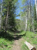 photo thumbnail #7