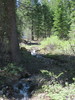 photo thumbnail #10