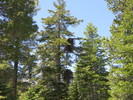 photo thumbnail #13