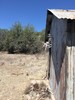 photo thumbnail #10