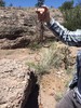 photo thumbnail #11