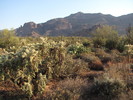 photo thumbnail #2
