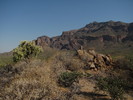 photo thumbnail #5