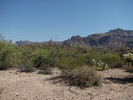 photo thumbnail #6