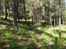 photo thumbnail #6