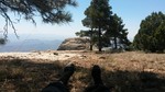 photo thumbnail #3