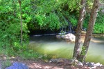 photo thumbnail #14