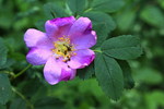 photo thumbnail #8