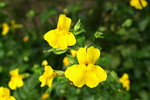 photo thumbnail #13
