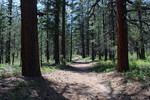photo thumbnail #9
