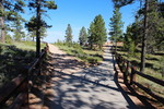 photo thumbnail #12