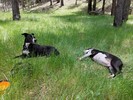photo thumbnail #6