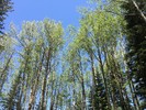 photo thumbnail #7