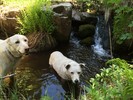 photo thumbnail #8