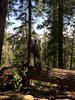 photo thumbnail #1