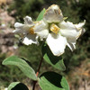 photo thumbnail #9