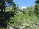 photo thumbnail #10